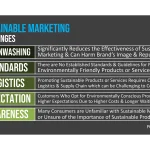 Sustainable Marketing: Beyond the Green Hype